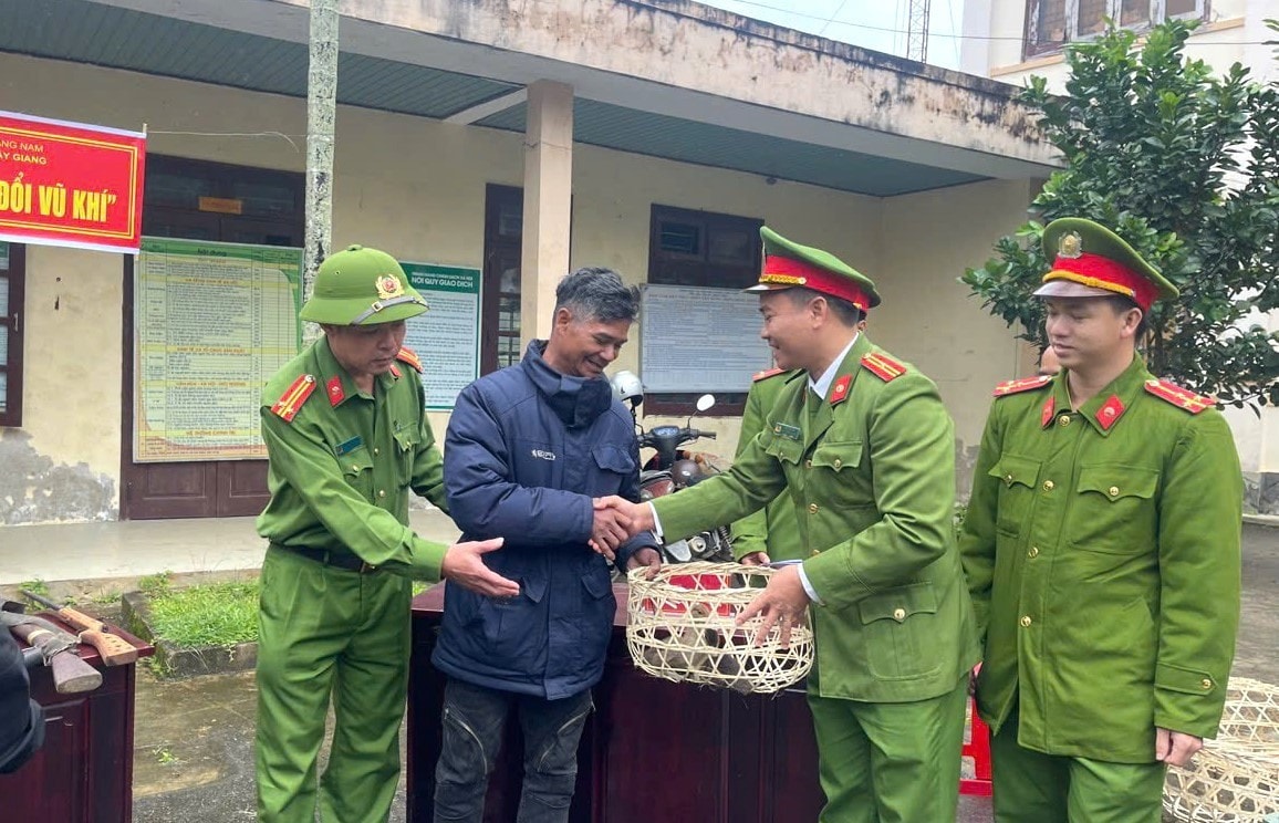 Người dân giao vũ khí, nhận lại con giống về để chăn nuôi