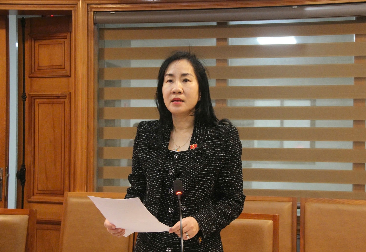 pho-chu-nhiem-uy-ban-kinh-te-va-tai-chinh-doan-thi-thanh-mai.jpg
