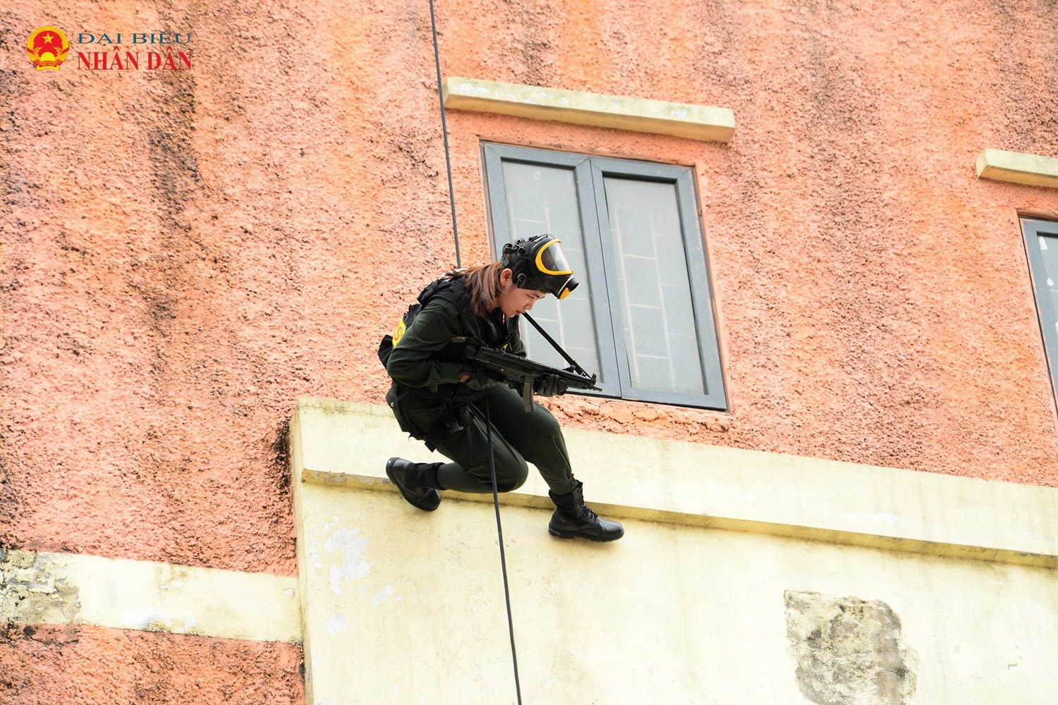 nu-cscd-12.jpg