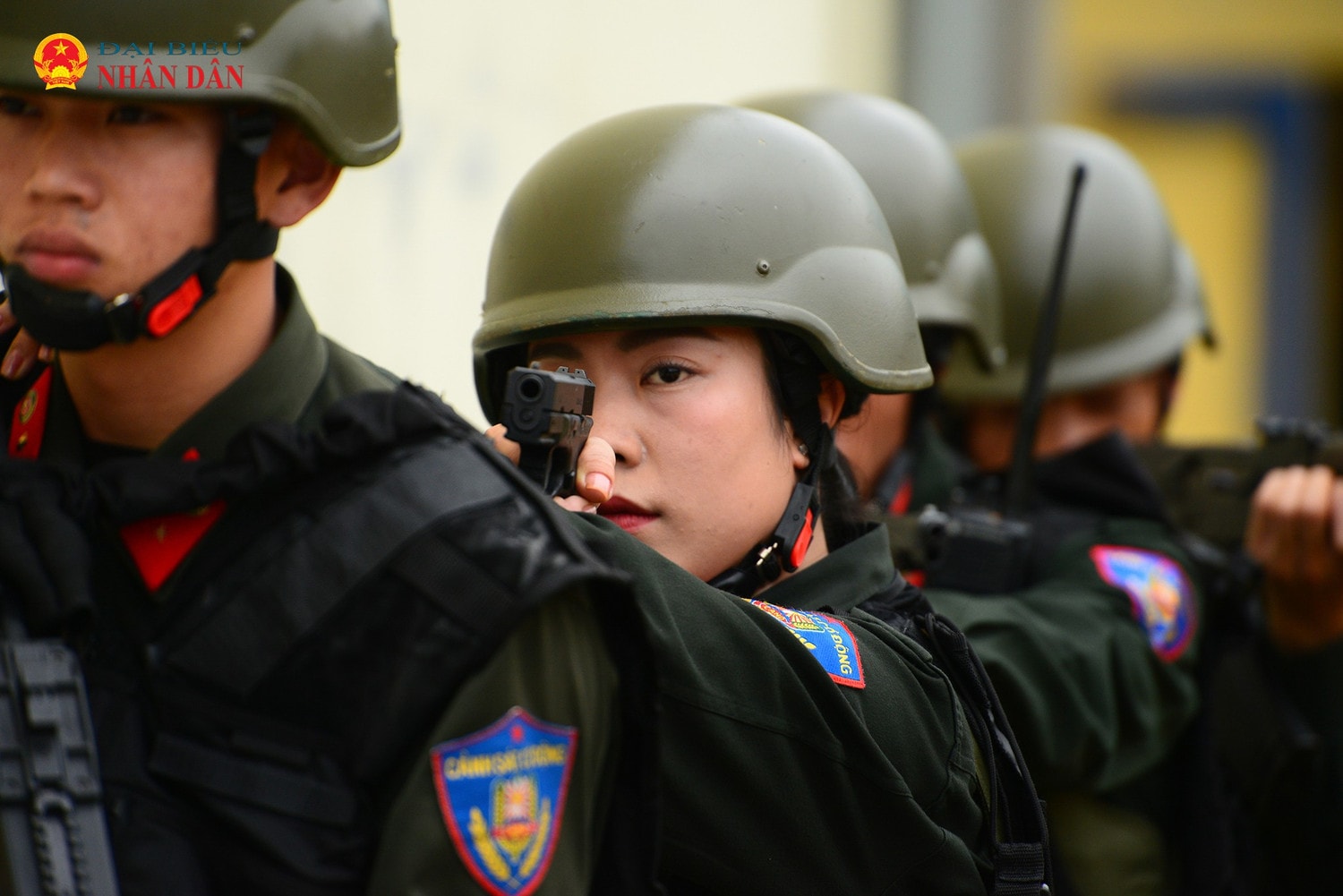 nu-cscd-10.jpg