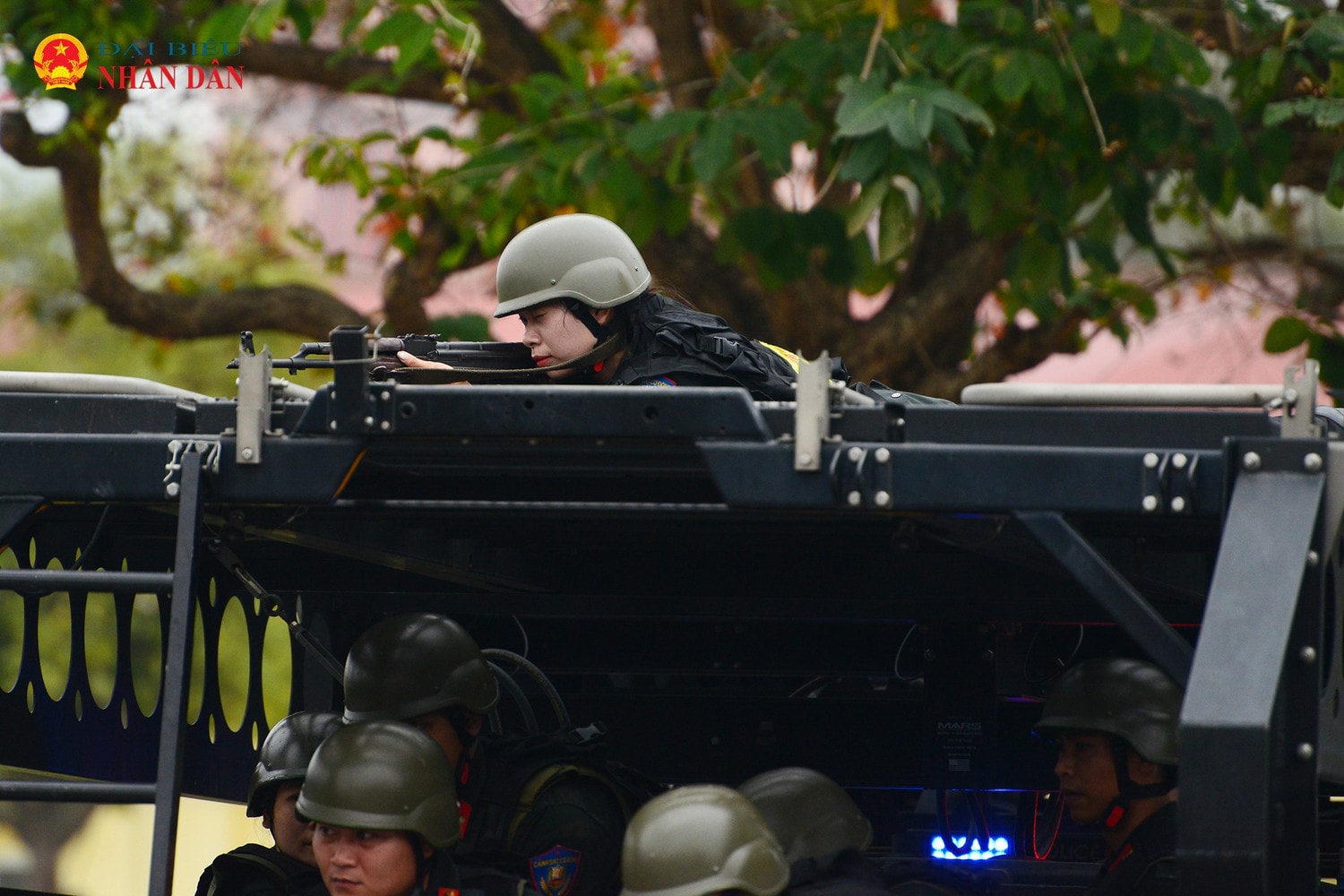 nu-cscd-8.jpg
