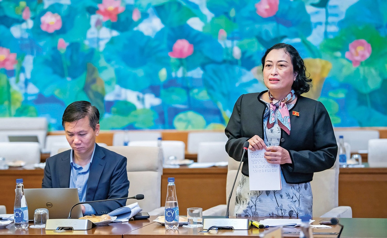 Phó Chủ tịch Hội đồng Dân tộc Trần Thị Hoa Ry phát biểu tại phiên họp