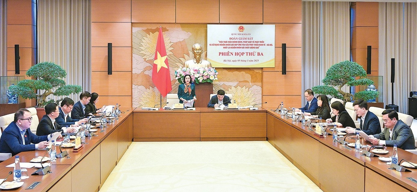 p10.jpg