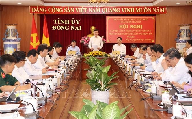 Phó Chủ nhiệm Ủy ban Kiểm tra Trung ương, Phó trưởng Đoàn Thường trực Đoàn kiểm tra Nguyễn Hồng Lĩnh phát biểu tại buổi làm việc.