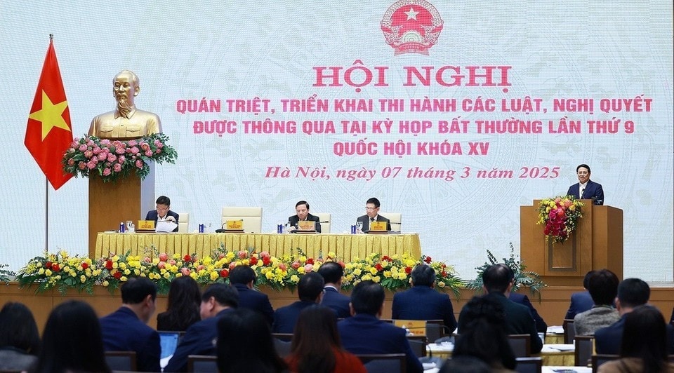 tt.jpg