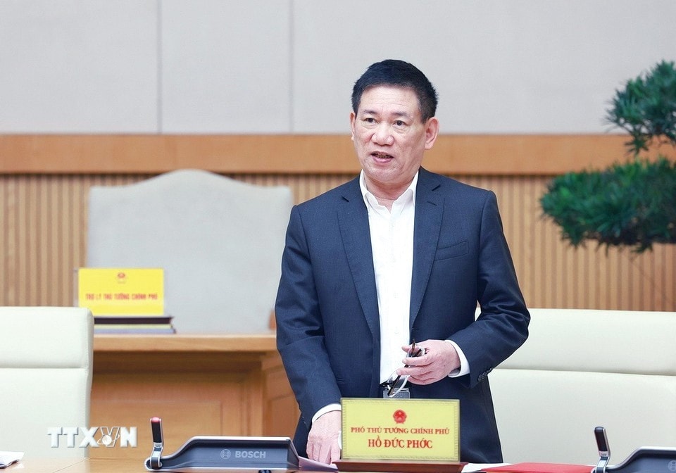 Phó Thủ tướng Hồ Đức Phớc phát biểu. Ảnh: Dương Giang/TTXVN