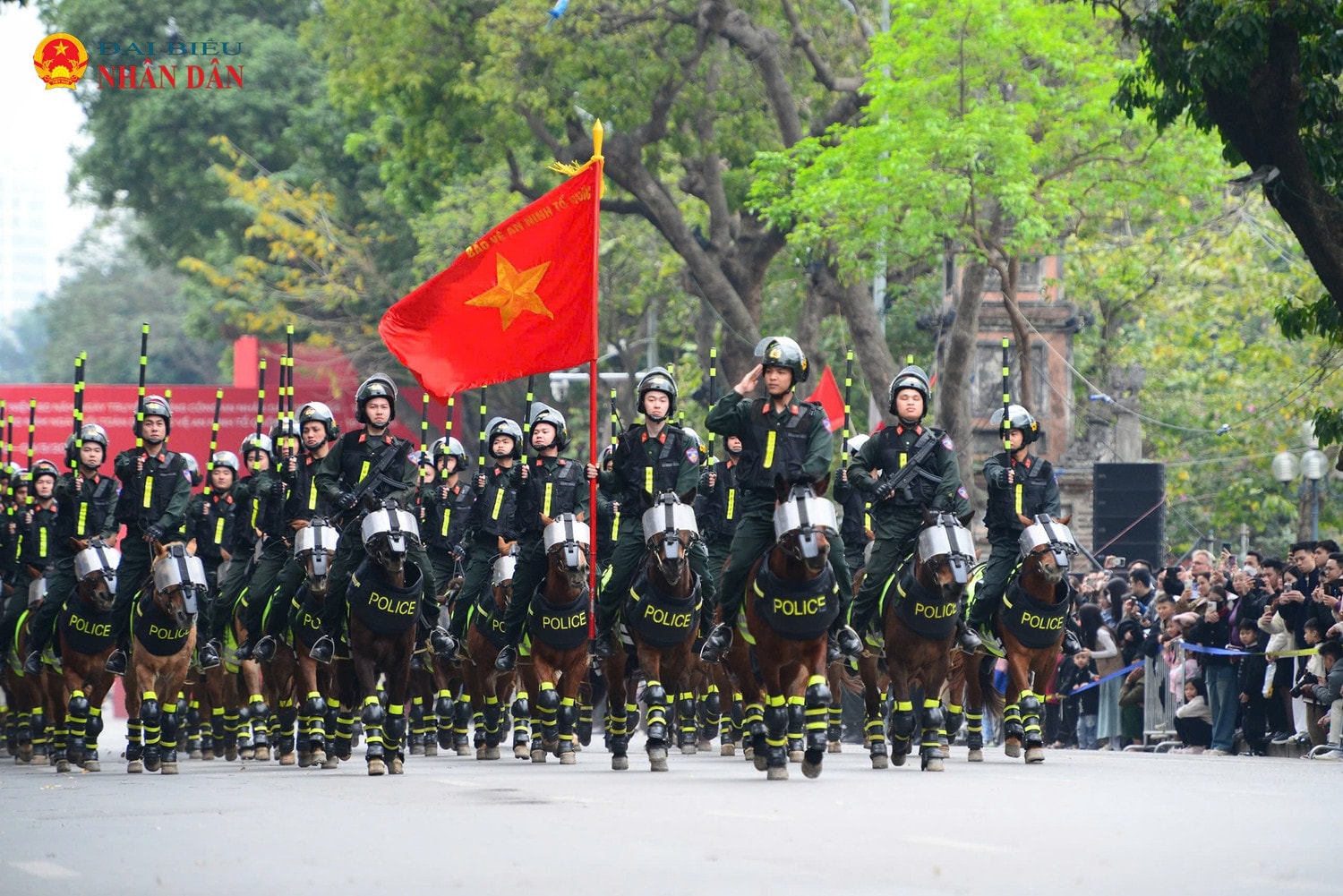 ky-binh-cscd-2025-5.jpg