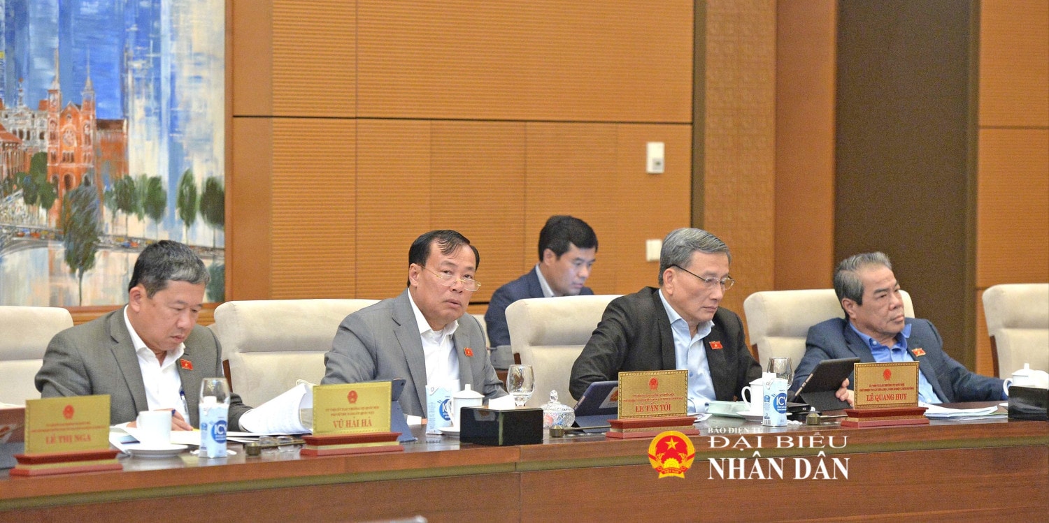 tv-chieu4-7338.jpg