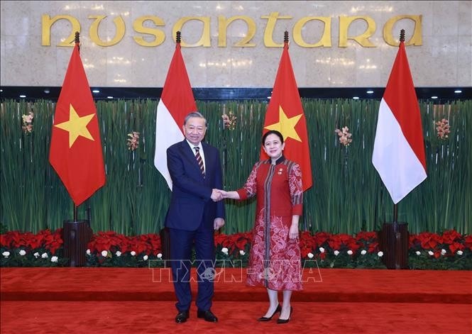 Tổng Bí thư Tô Lâm gặp Chủ tịch Hạ viện Indonesia Puan Maharani. Ảnh: Thống Nhất/TTXVN