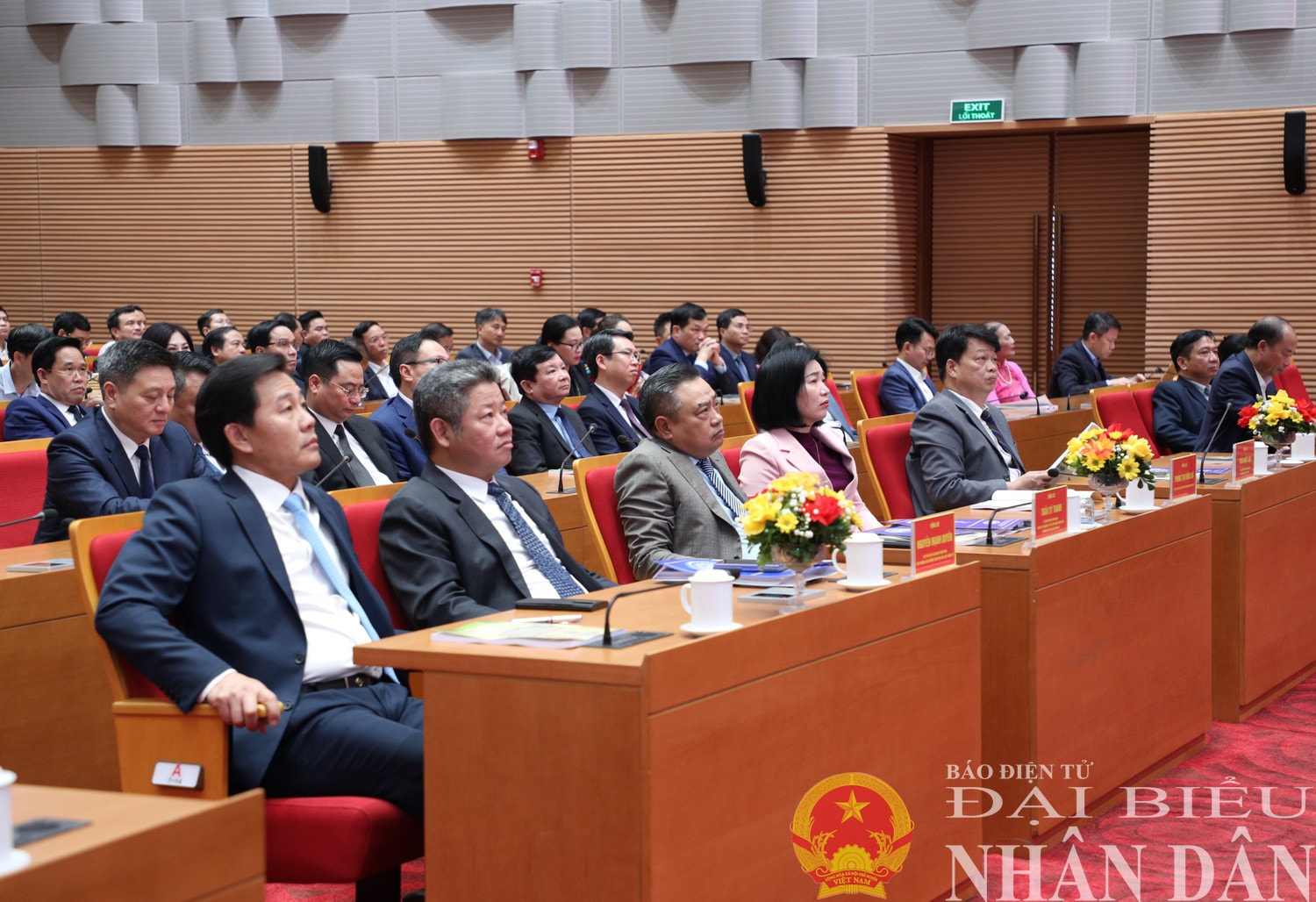 dbnd_br_cac-dai-bieu-du-hoi-nghi.jpg