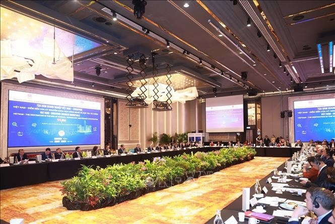 Tọa đàm doanh nghiệp Việt Nam - Singapore. Ảnh: Thống Nhất/TTXVN