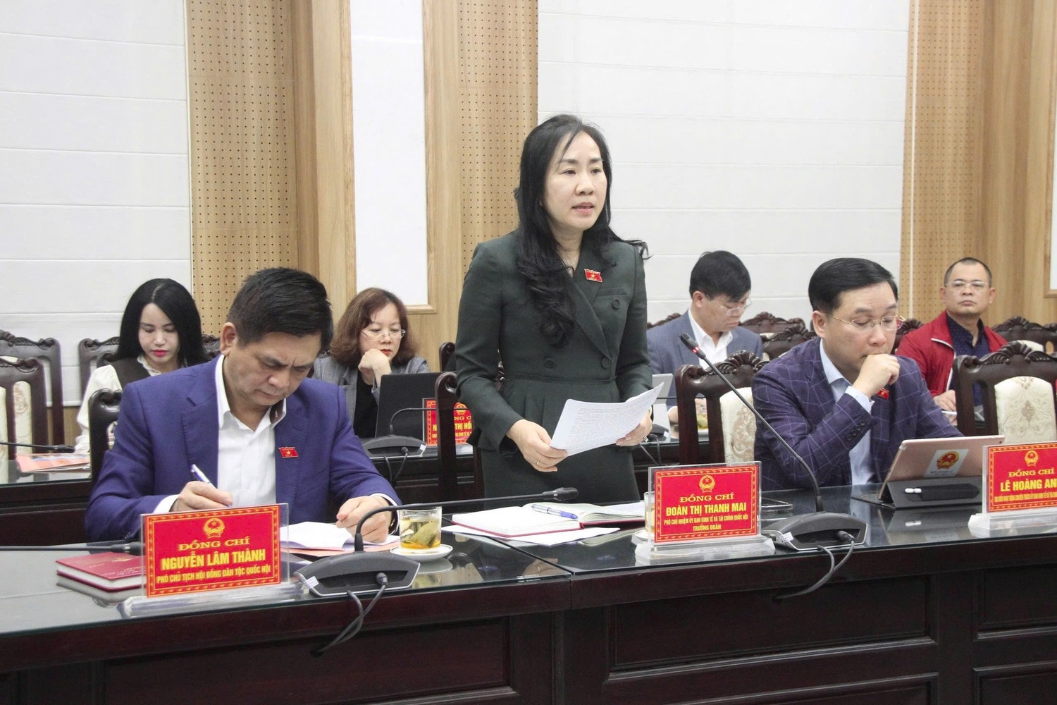 Phó Chủ nhiệm Ủy ban Kinh tế và Tài chính Đoàn Thị Thanh Mai - Trưởng Đoàn khảo sát phát biểu