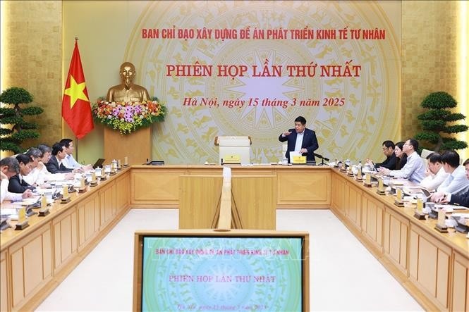 Phó Thủ tướng Nguyễn Chí Dũng chủ trì phiên họp. Ảnh: Dương Giang/TTXVN
