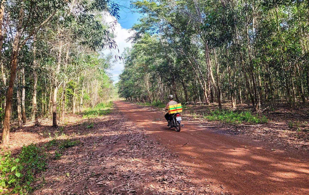 khao-sat-4.jpg
