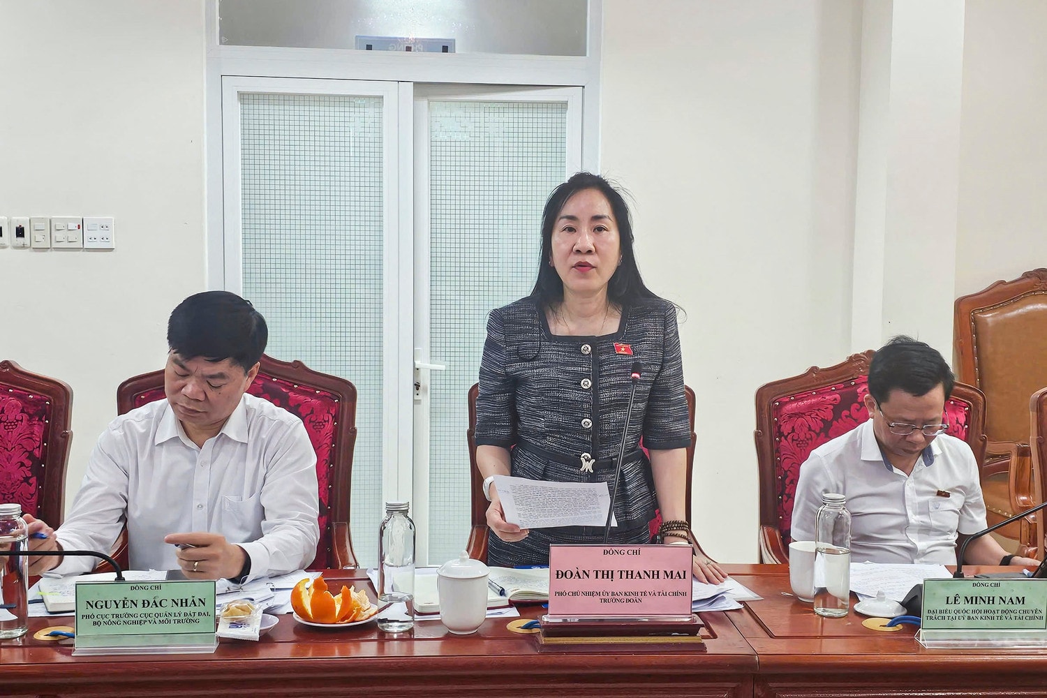 Phó Chủ nhiệm Ủy ban Kinh tế và Tài chính Đoàn Thị Thanh Mai phát biểu