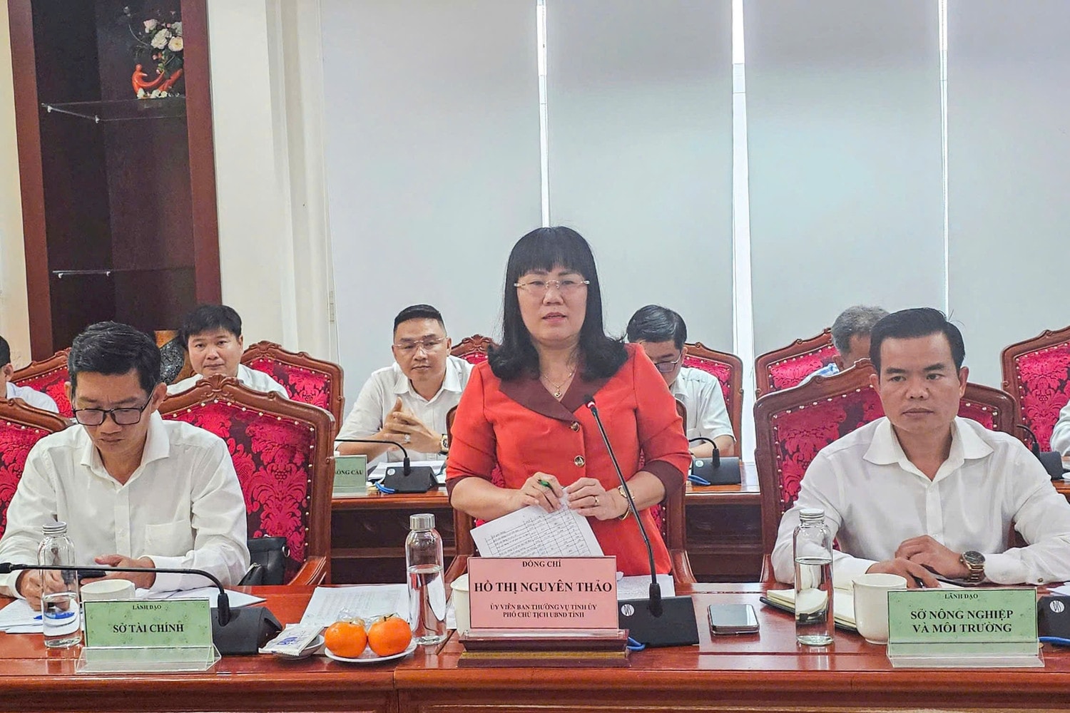 Phó Chủ tịch UBND tỉnh Phú Yên Hồ Thị Nguyên Thảo phát biểu