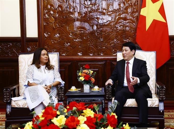 Chủ tịch nước Lương Cường tiếp Đại sứ Cộng hoà Panama Nubiela Yanarith Ayala Modes đến trình Quốc thư. Ảnh: Lâm Khánh/TTXVN