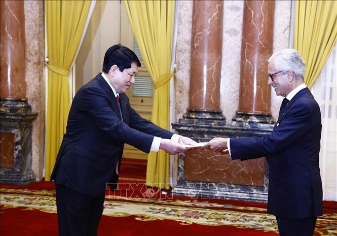 Chủ tịch nước Lương Cường nhận Quốc thư từ Đại sứ Cộng hoà Bồ Đào Nha Luiz Manuel De Magalhaes de Albuquerque Veloso. Ảnh: Lâm Khánh/TTXVN