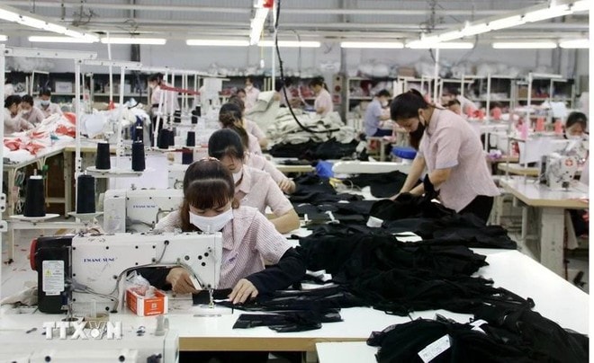 A private garment company in Vietnam (Photo: VNA) A private garment company in Vietnam (Photo: VNA)