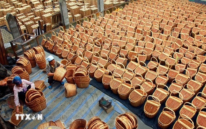 Bamboo and rattan products for export in Phu Xuyen district, Hanoi. (Photo: VNA) Bamboo and rattan products for export in Phu Xuyen district, Hanoi. (Photo: VNA)