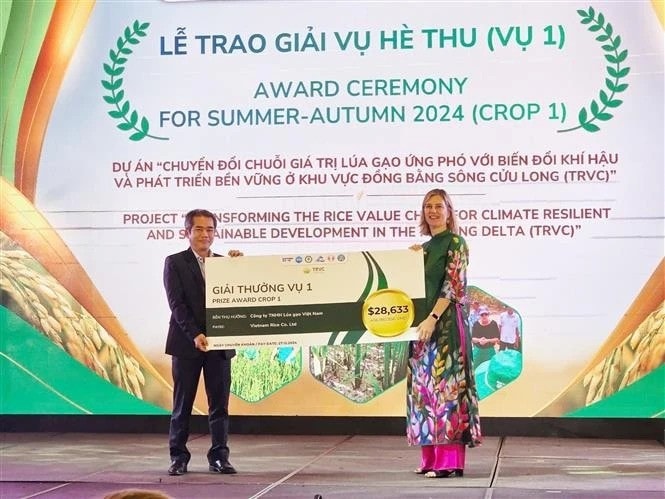 Christie Getman, SNV Country Director, hands over the reward to a company. (Photo: VNA) award-ceremony.jpg