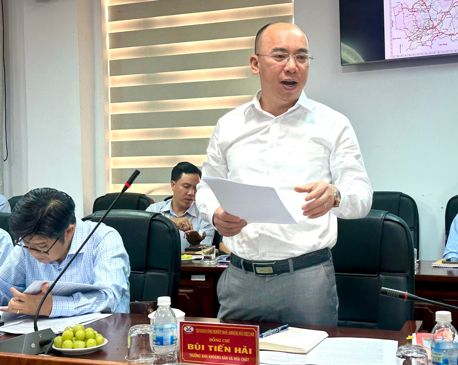 Trưởng ban Khoáng sản và Hóa chất Tập đoàn Công nghiệp than - Khoáng sản Việt Nam Bùi Tiến Hải phát biểu