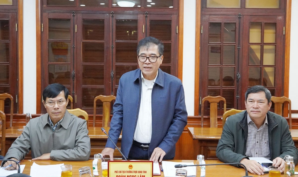 Phó Chủ tịch Thường trực UBND tỉnh Đoàn Ngọc Lâm phát biểu tại buổi làm việc