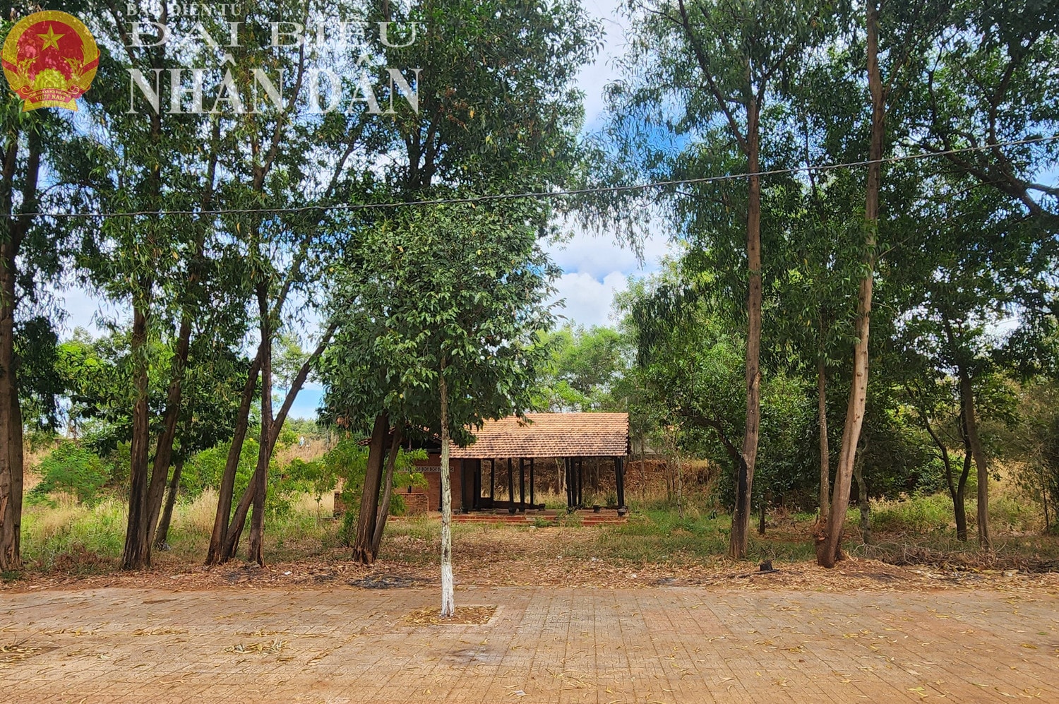 dbnd_tl_binh-phuoc-1.jpg