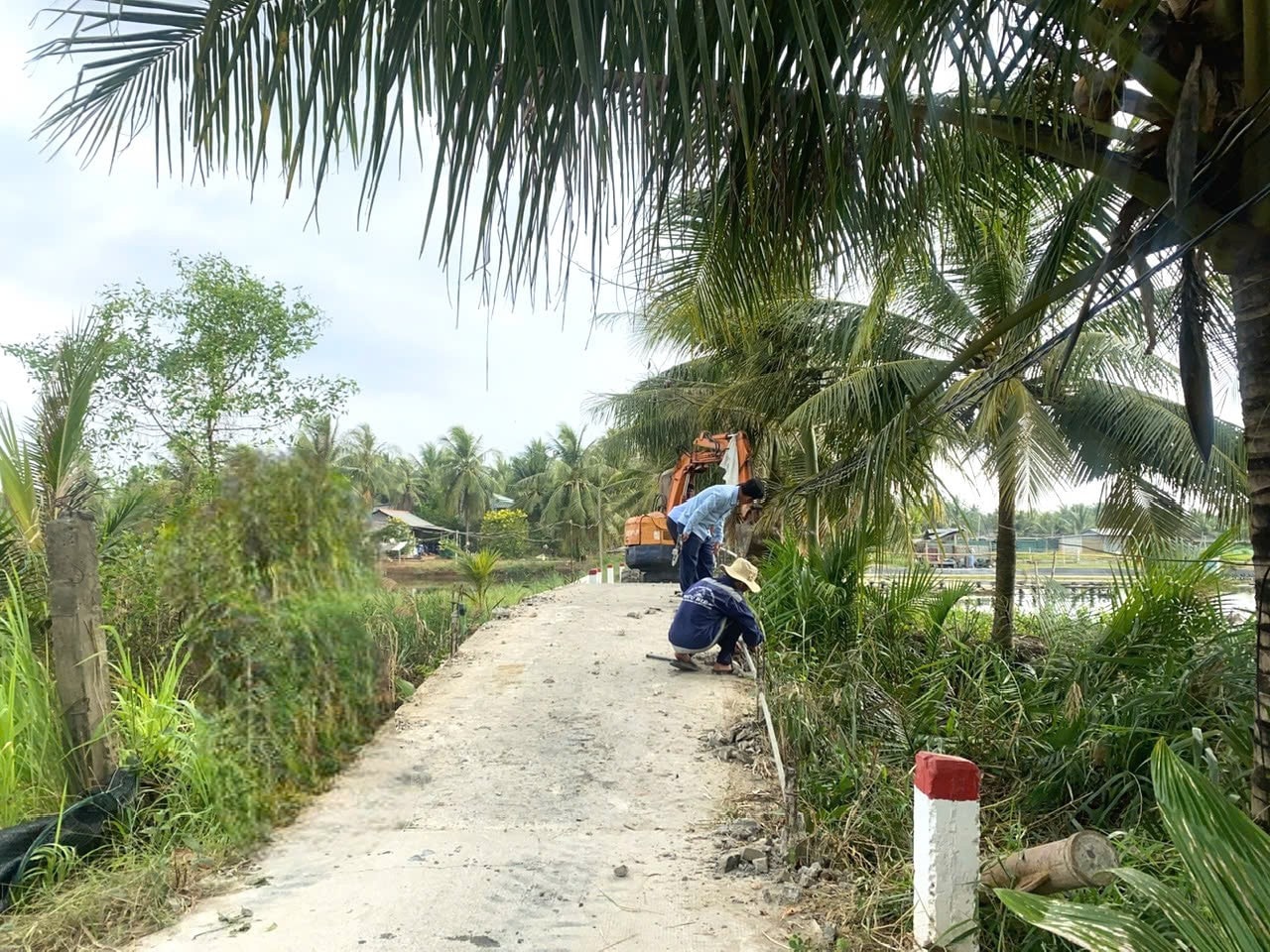 e6dab3aeb9fc09a250ed.jpg