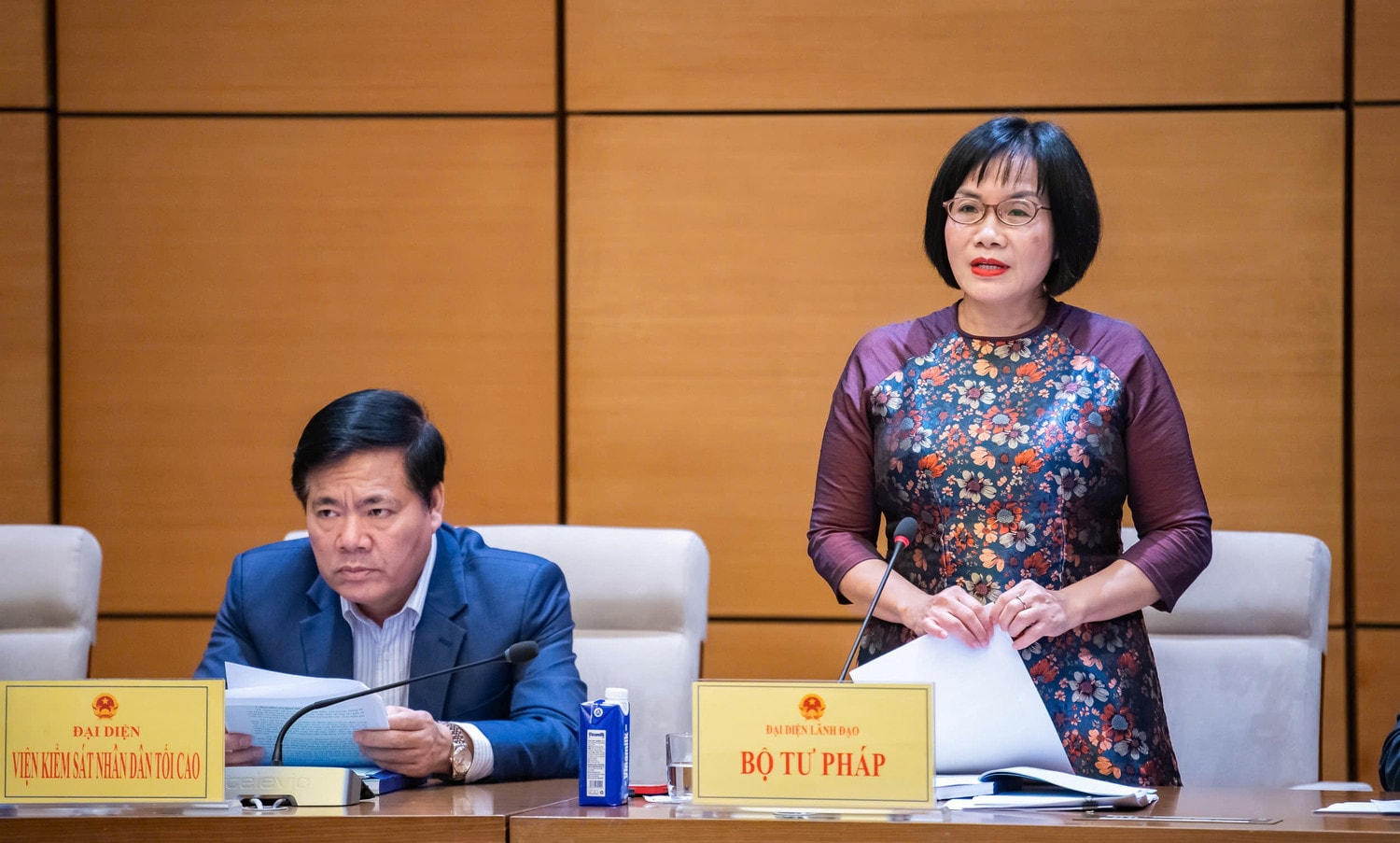 Thứ trưởng Bộ Tư pháp Đặng Hoàng Oanh phát biểu