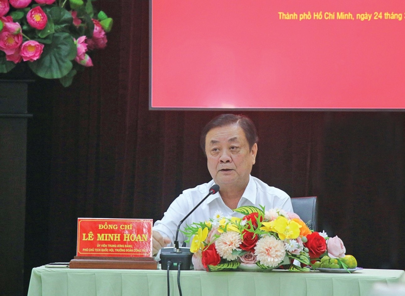 Phó Chủ tịch Quốc hội Lê Minh Hoan phát biểu tại cuộc làm việc