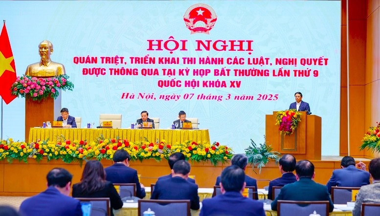 p1.jpg