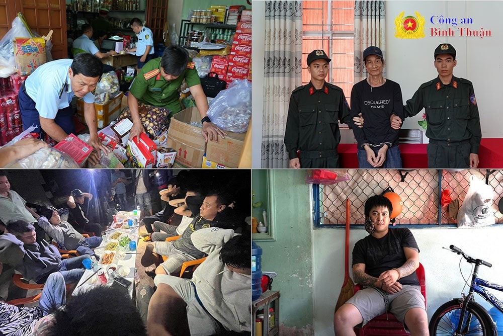 Phát hiện, xử lý nhiều loại tội phạm và hành vi vi phạm pháp luật