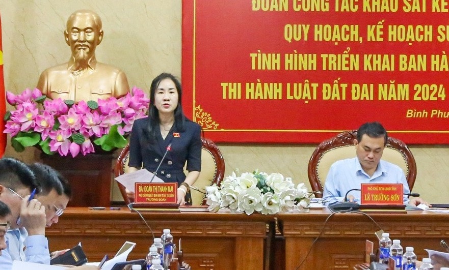 Phó Chủ nhiệm Ủy ban Kinh tế và Tài chính Đoàn Thị Thanh Mai phát biểu