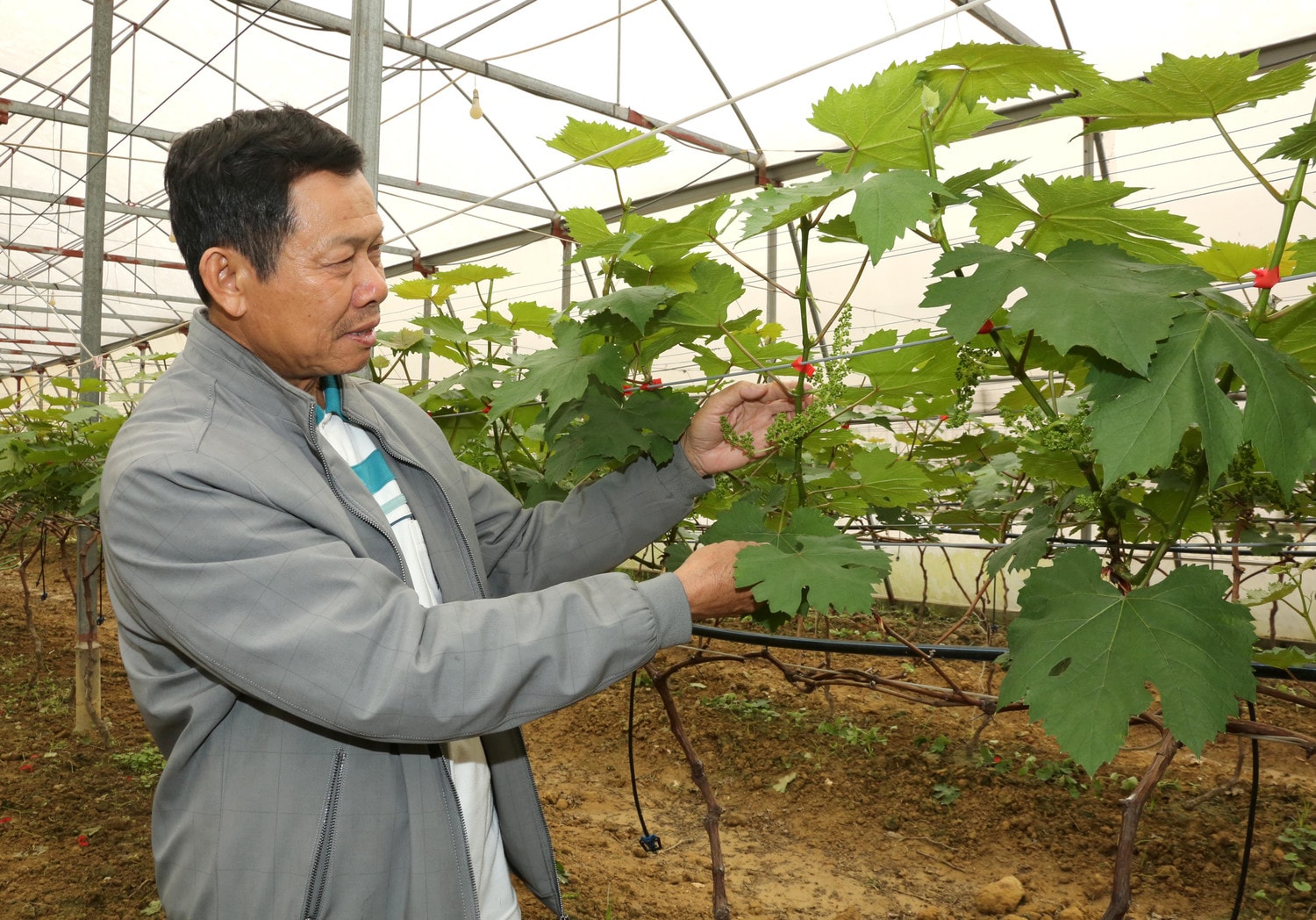 htx-nga-hai-le-binh-7.jpg