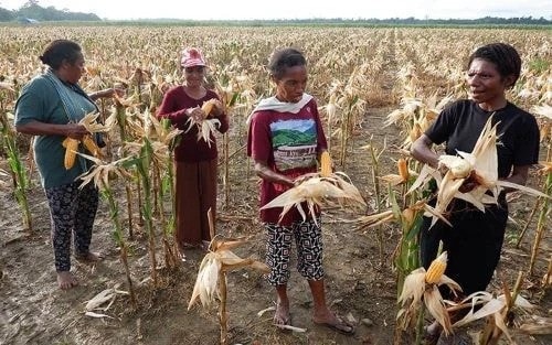 Illustrative Image (Photo: thejakartapost.com) 2024-10-29-156734-1730207931-large.jpg