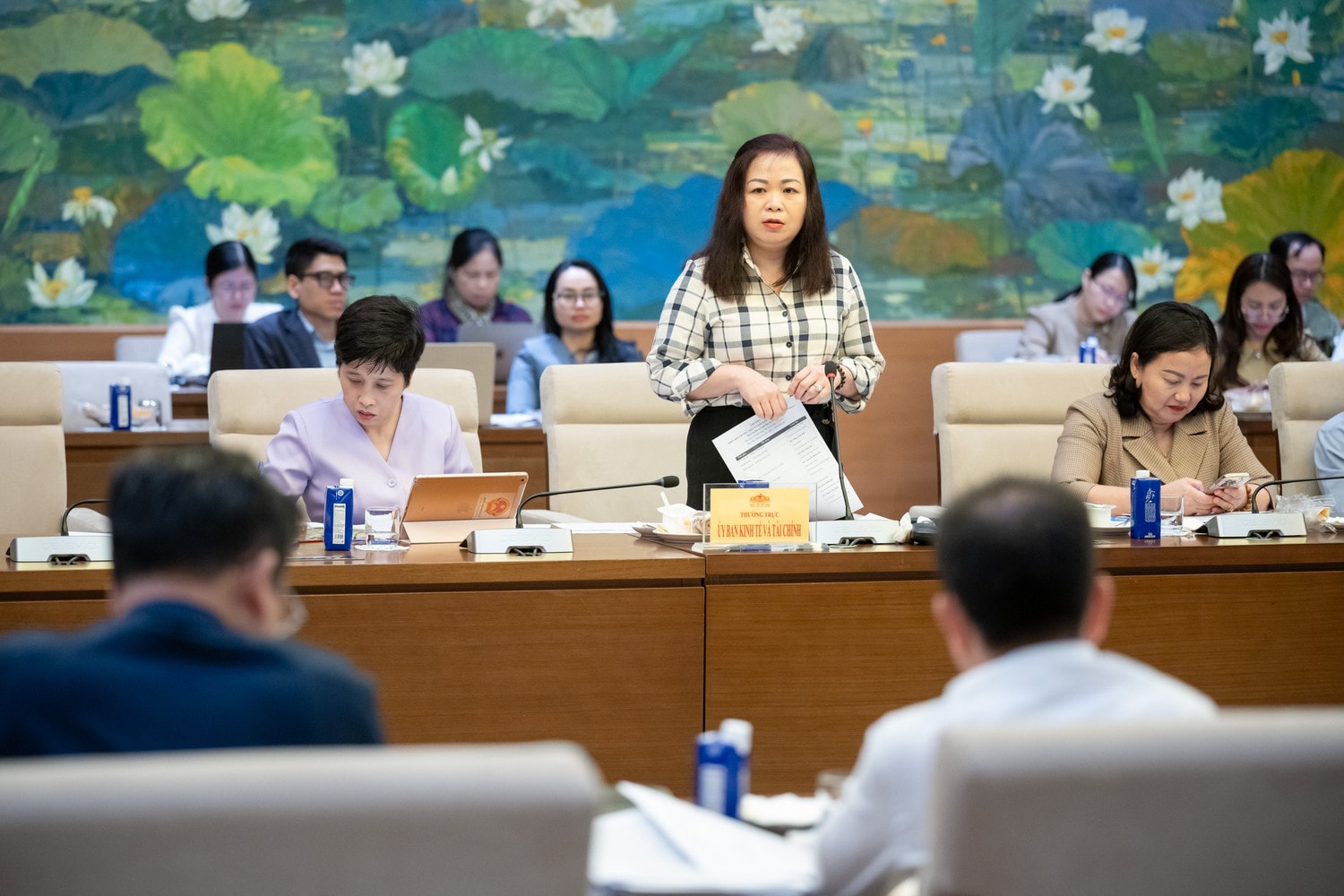 Phó Chủ nhiệm Ủy ban Kinh tế và Tài chính Vũ Thị Lưu Mai phát biểu