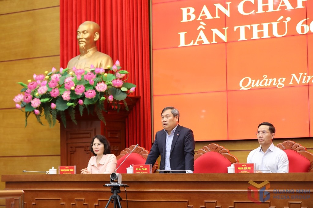 2330303-wtm-804a08773abac8f52fac40e9b98805cc.jpg