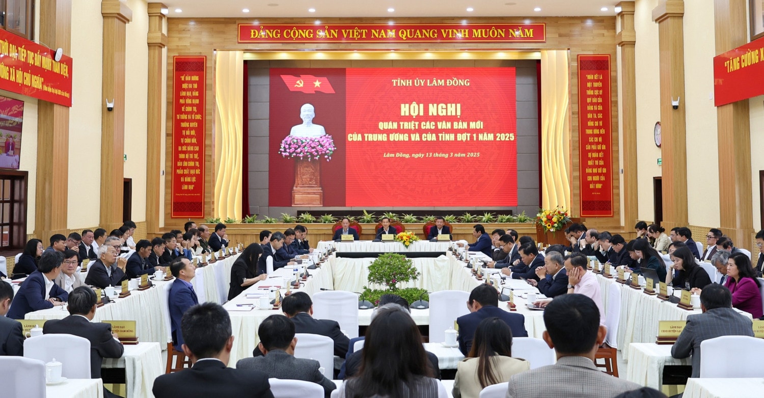 c1.jpg