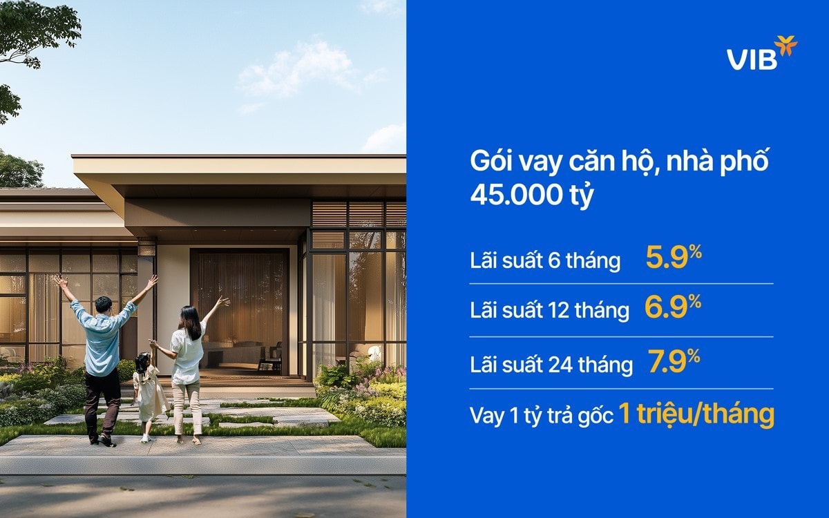 VIB ra mắt gói vay căn hộ, nhà phố quy mô 45.000 tỷ ảnh 1