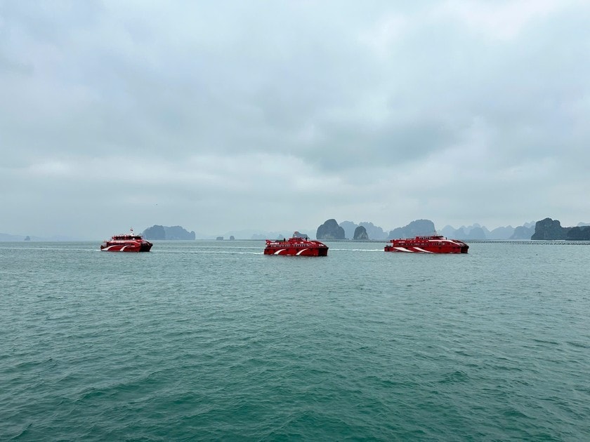 Các hành trình tham quan vịnh Bái Tử Long được kỳ vọng sẽ góp phần đưa du lịch Vân Đồn vươn tầm