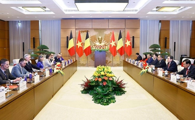 An overview of the meeting between NA Chairman Tran Thanh Man and Belgian King Philippe in Hanoi on April 1 (Photo: VNA) An overview of the meeting between NA Chairman Tran Thanh Man and Belgian King Philippe in Hanoi on April 1 (Photo: VNA)