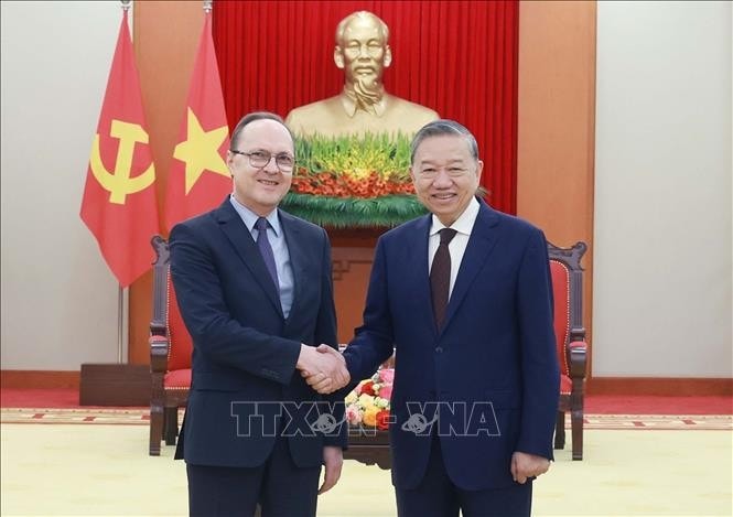 Tổng Bí thư Tô Lâm tiếp Đại sứ Liên bang Nga tại Việt Nam Gennady Bezdetko. Ảnh: Thống Nhất/TTXVN