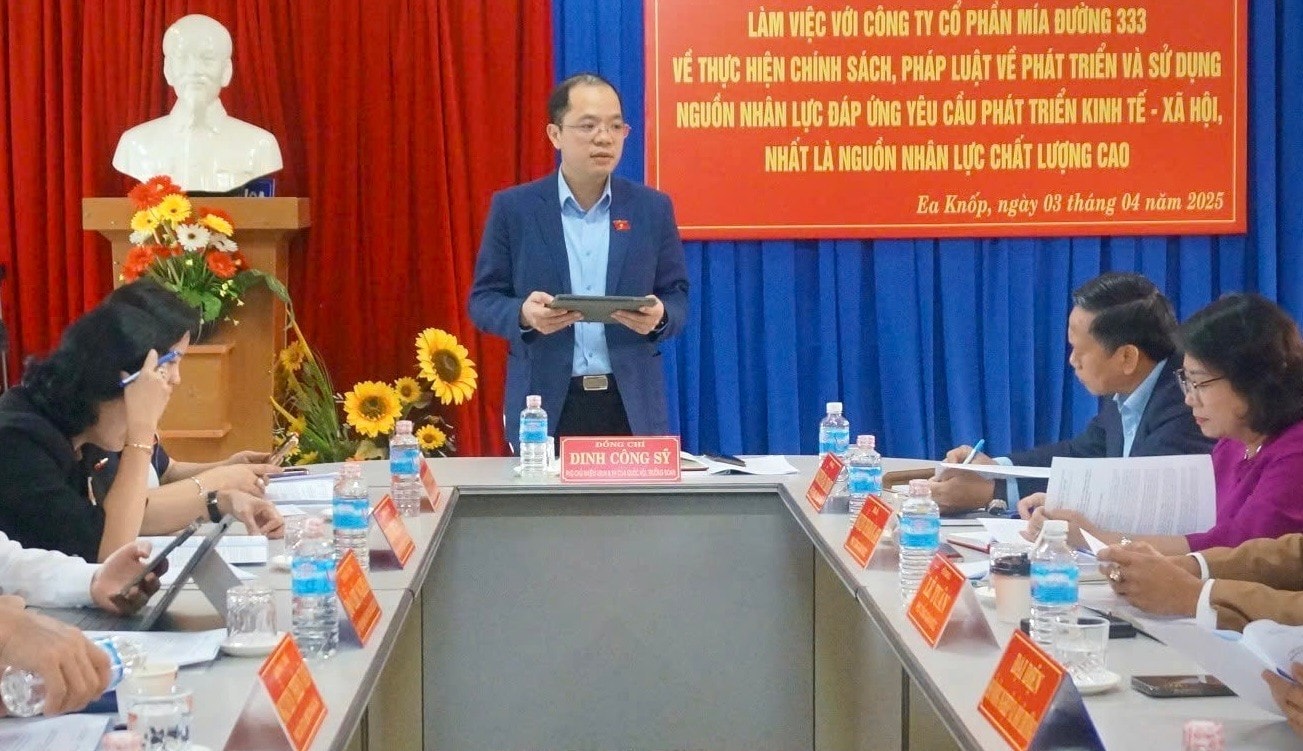 Phó Chủ nhiệm Ủy ban Văn hóa và Xã hội Đinh Công Sỹ phát biểu tại buổi làm việc