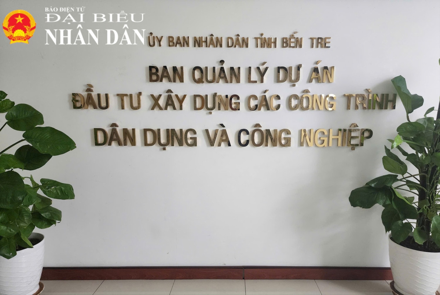 ban-9722.jpg