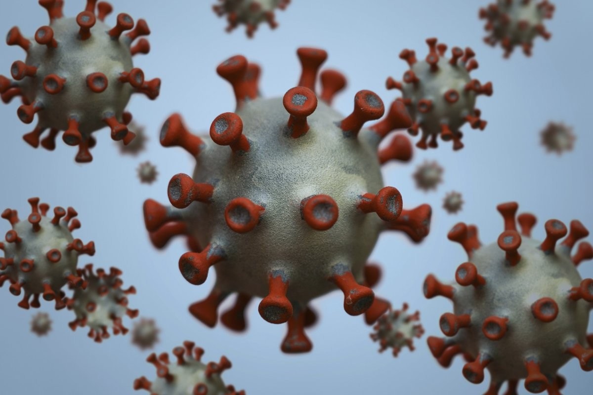 coronavirus-models.jpg
