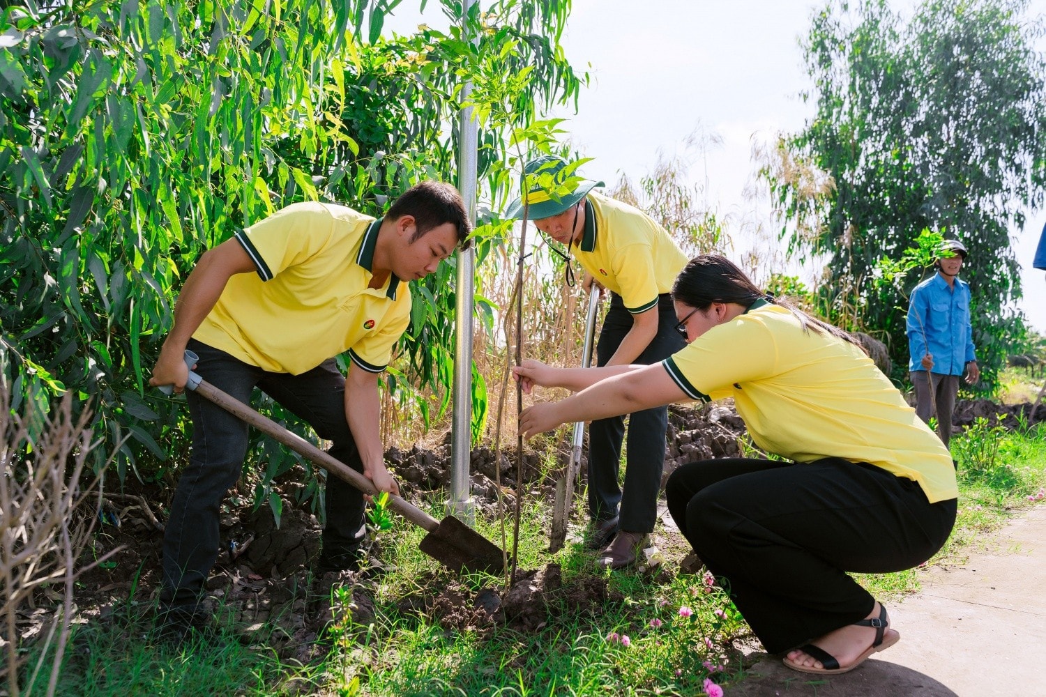 Tuổi trẻ Phân bón Cà Mau triển khai đề án trồng mới 300.000 cây xanh.