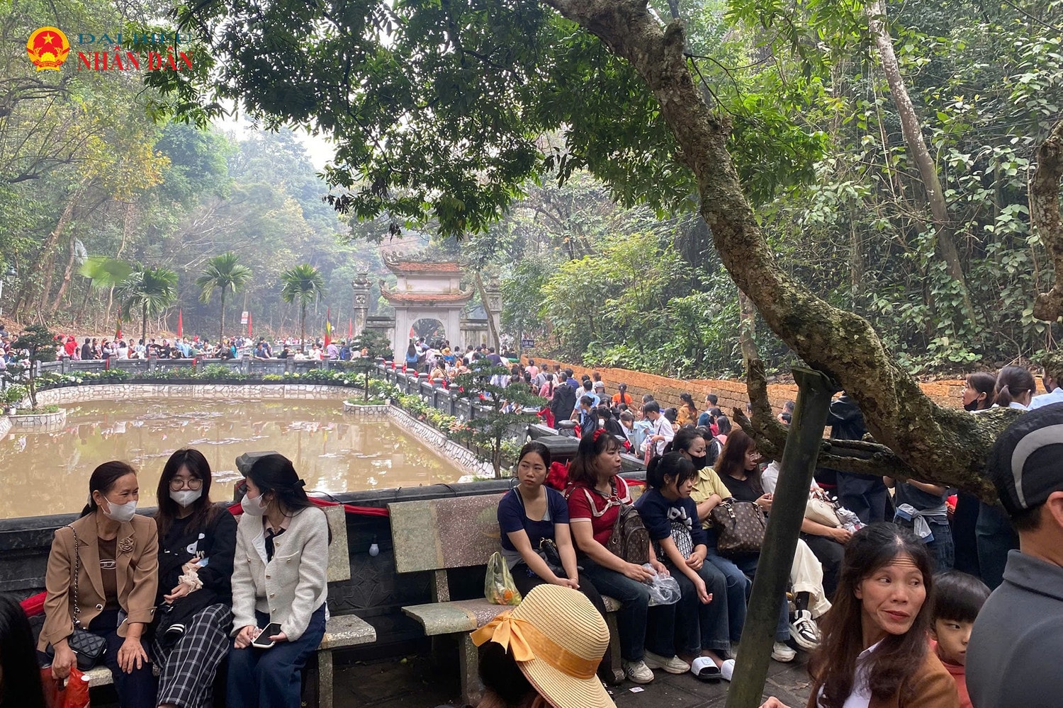 den-hung-8.jpg