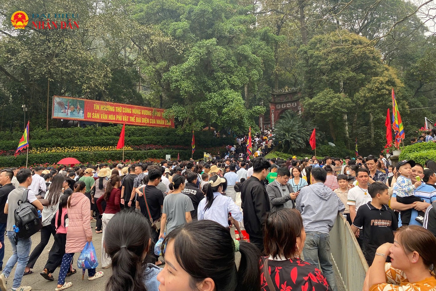 den-hung-11.jpg