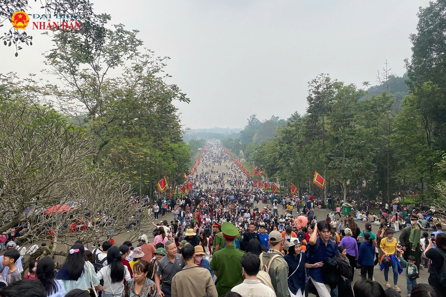 den-hung-9.jpg